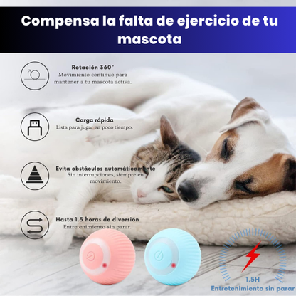 SmartPet Ball – Diversión Inteligente para tu Mascota