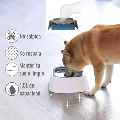 Bebedero Para Mascotas Antiderrame